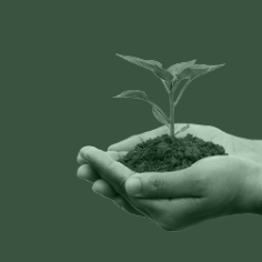 Eco-friendly organic agro products for sustainable farming – available at akorr. High-quality organic farming essentials from Akorr – promoting sustainable agriculture