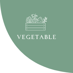 Assorted organic vegetables for healthy cooking – sourced from local farms in Bangladesh. Fresh organic vegetables from Akorr, Gazipur, Dhaka – pesticide-free and 100% natural