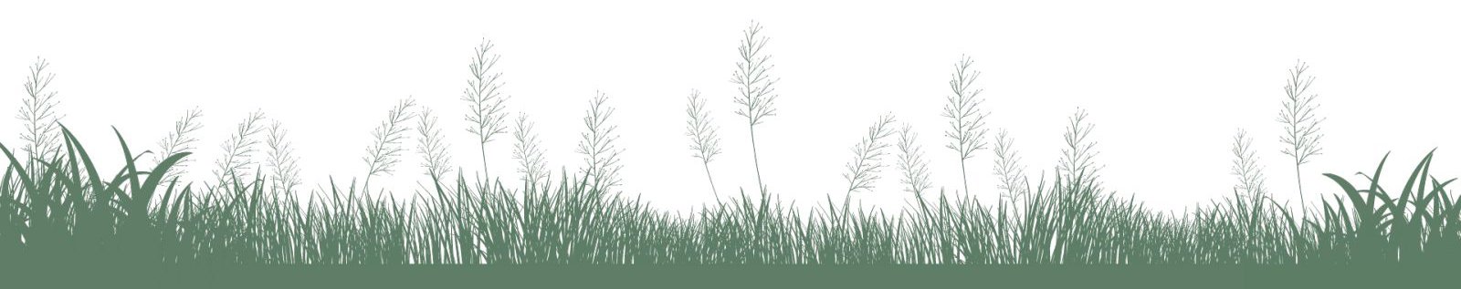 akorr.com footer-img